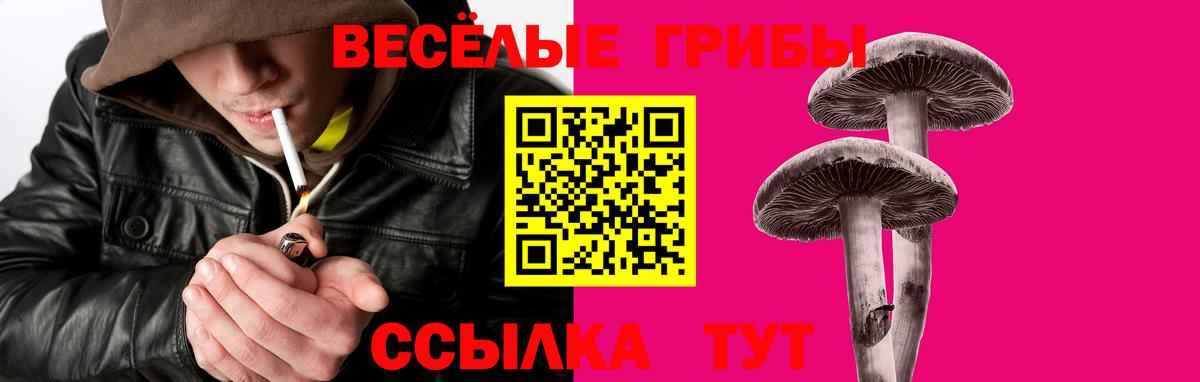 цены наркотик  Вход с VPN  Псилоцибиновые грибы Magic Shrooms  Краснодар  Псилоцибиновые грибы MAGIC MUSHROOMS 